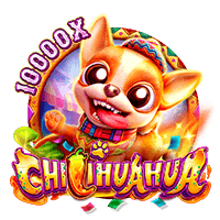 CHILIHUAHUA